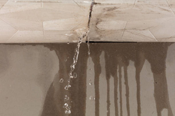 Professional Water Damage Repair technician working in Williamsport, TN